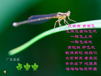 美术【岭南版】一年级下册《5. 快乐的小鸟》PPT课件2(1)