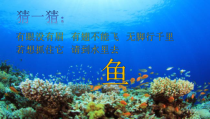美术【岭南版】一年级下册《7. 大鱼和小鱼》PPT课件4