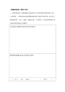 美术【岭南版】一年级下册《9. 海螺和海星》教学素材1