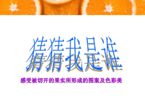 美术【岭南版】二年级下册《7. 切开的果实》PPT课件1(1)