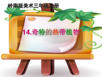 美术【岭南版】三年级上册《14. 奇特的热带植物》PPT课件3
