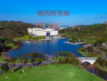 美术【岭南版】三年级上册《15. 茂密的山林》PPT课件1