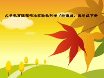 美术【岭南版】三年级下册《15. 秋天的落叶》PPT课件1(1)
