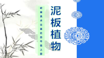美术【岭南版】四年级上册《3. 泥板植物》PPT课件1(1)