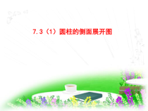 《圆柱的概念及侧面展开图》PPT课件-九年级下册数学青岛版