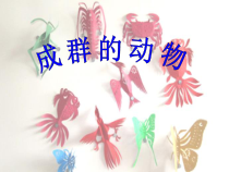 美术【岭南版】四年级下册《14. 成群的动物》PPT课件1