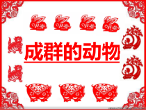 美术【岭南版】四年级下册《14. 成群的动物》PPT课件2