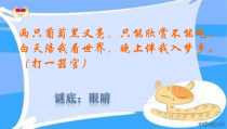 美术【岭南版】五年级上册《3. 童眼看世界》PPT课件1