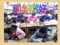 美术【岭南版】五年级下册《17. 群居动物模型》PPT课件1