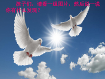 美术[鲁教版]一年级上册《10 我在空中飞》PPT课件1