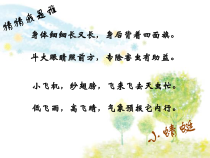 美术【鲁教版】二年级上册《第8课 蜻蜓飞飞》PPT课件3