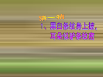美术【鲁教版】三年级上册《第8课 动物的花衣裳》PPT课件4(1)