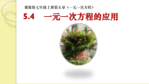 《运用一元一次方程解决一般的实际问题》PPT课件1-七年级上册数学冀教版