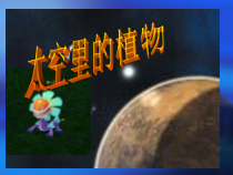美术【人教版】一年级下册《第11课　太空里的植物》PPT课件2