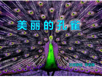 美术【人教版】二年级下册《第7课 美丽的·孔雀》PPT课件2