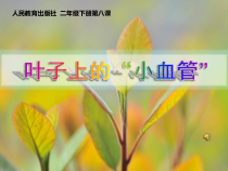 美术【人教版】二年级下册《第8课 叶子上的小“血管”》PPT课件1