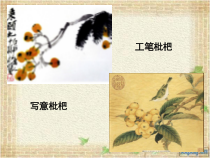 美术【人教版】五年级下册《第9课 写意蔬果》PPT课件1