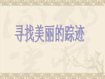 美术【人教版】六年级下册《第2课 寻找美的踪迹》PPT课件4