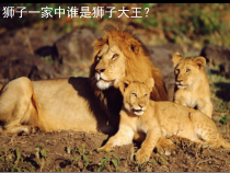 美术【人美版】（常锐伦）一下《13. 狮子大王》PPT课件3(1)