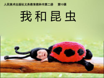 美术【人美版】（常锐伦）一下《10. 我和昆虫》PPT课件1