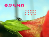 美术【人美版】（常锐伦）一下《11. 奇妙的爬行》PPT课件1