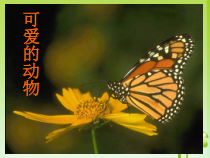 美术【人美版】（常锐伦）一下《12. 可爱的动物》PPT课件2