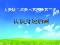 美术【人美版】（常锐伦）二下《第3课 认识身边的树》PPT课件2(1)