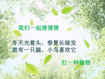 美术【人美版】（常锐伦）二下《综合练习》PPT课件3