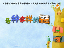美术【人美版】（常锐伦）三上《各种各样的鞋》PPT课件3(1)