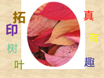 美术【人美版】（常锐伦）三上《拓印树叶真有趣》PPT课件3