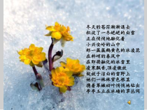 美术【人美版】（常锐伦）三下《16.生活与艺术中的花》PPT课件2