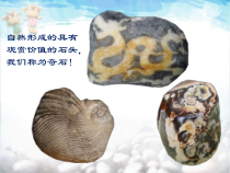 美术【人美版】（常锐伦）三下《14.彩墨游戏（二）》PPT课件1(1)