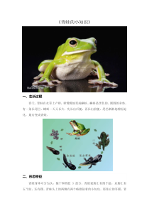 美术【人美版】（常锐伦）三下《池塘蛙声（湖北）》教学素材2