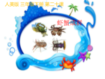 美术【人美版】（常锐伦）三下《虾蟹成群（湖北）》PPT课件2