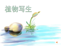 美术【人美版】（常锐伦）四下《1、植物写生》PPT课件1(1)