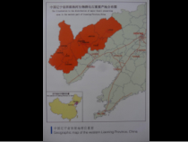 美术【人美版】（常锐伦）四下《22、化石之旅——探秘古生物乐园》PPT课件2