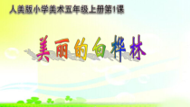 美术【人美版】（常锐伦）五上《第1课 美丽的白桦林》PPT课件3(1)
