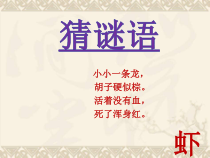 美术【人美版】（常锐伦）五下《第1课：人民艺术家——齐白石》PPT课件3