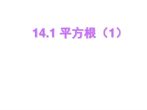 《平方根》PPT课件2-八年级上册数学冀教版