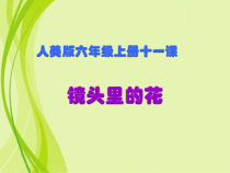 美术【人美版】（常锐伦）六上《第十一课 镜头里的花》PPT课件3