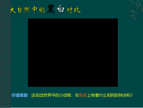 美术【人美版】（常锐伦）六上《第四课 线描画中的黑白对比》PPT课件2