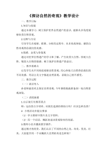 美术【人美版】（常锐伦）六下《2.探访自然的奇观》教学设计1