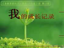 美术【人美版】（常锐伦）六下《15.我的成长记录》PPT课件2(1)