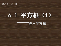 《算术平方根》PPT课件2-八年级上册数学冀教版