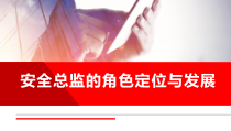 安全总监的角色定位与发展