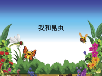 美术【人美版】（杨力）一年级上册《11. 昆虫一家》PPT课件1
