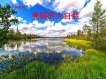 美术【人美版】（杨力）一年级上册《13. 美丽的大自然》PPT课件2