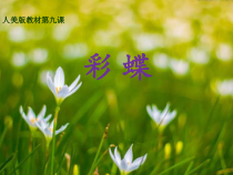 美术【人美版】（杨力）二年级上册《9. 彩蝶》PPT课件1