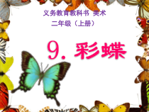 美术【人美版】（杨力）二年级上册《9. 彩蝶》PPT课件3