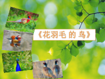 美术【人美版】（杨力）二年级下册《4.漂亮的鸟》PPT课件3(1)